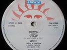 JONESY- Growing LP+ Insert UK Original Porky-Pecko Gravy Train Gnidrolog Fruupp
