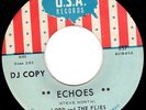 LORD AND THE FLIES - ECHOES - PEBBLES GARAGE 45 on USA Chicago - HEAR