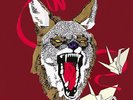 Hiatus Kaiyote - Tawk Tomahawk