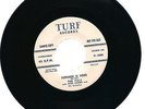 GR8 ORIGINAL RARE  PROMO DOO WOP GROUP 45  -THE PALS - on TURF LABEL - NEAR MINT