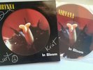 Nirvana Signed, LP, VINYL, 12'',  Kurt Cobain signed Krist Novoselic, Dave Grohl