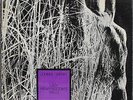Johnny Griffin   Lady Heavy Bottoms Waltz   Vogue   X-RARE