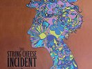 THE STRING CHEESE Song In My Head 180g VINYL 2x LP RECORD Brand New