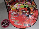 RARE Limited Edition Yeah Yeah Yeahs FEVER TO TELL picture disc LP LOOK
