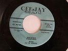 MIKE & THE UTOPIANS I Wish/Erlene CEE-JAY 574 Rare ORIGINAL Doo Wop/SOUL VG++