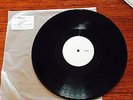Hotel Books Run Wild Young Beauty Vinyl Test Press InVogue Records RARE
