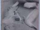 DONALD BYRD Free Form BLUE NOTE 4118 LP mono NY USA
