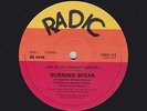 BURNING SPEAR Jah Is My Driver 12