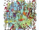 Dreamers-The Gentle Side - John Zorn (2010, Vinyl NEW)