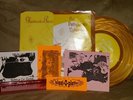 Ryan Adams The Patty Duke Syndrome / Glamourpuss Split 7