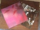 2 My Bloody Valentine EPs Tremelo/Ecstacy and Wine