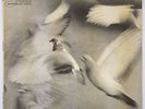 Donald Byrd 