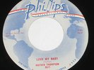 Hayden Thompson 45 HEAR ROCKABILLY Love My Baby PHILLIPS (SUN) One Broken Heart