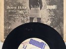 Florida Soul Joey Ray & The Shays SUNDI 6812 SLEEVE Would i still be loving MP3