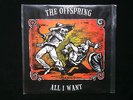 The Offspring - All I Want 7