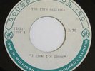 13TH PRECINCT  ACETATE 60'S  ILLINOIS GARAGE HEAR BOTH SIDES