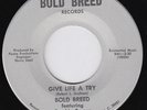 BOLD BREED Give Life A Try *RARE* northern soul 45 the MOOD FOR LOVE group HEAR