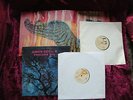 Amon Düül ll II 2 - Phallus Dei, Wolf City (FOC) 2x Vinyl
