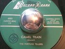 MOD EXOTICA R&B The Fortune Tellers CAMEL TRAIN Record-O-Rama 45 rare Canadian