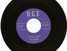 RARE SURF GUITAR INSTRUMENTAL ROCKER- NOBLEMEN- 