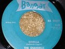 PRIVATE 1964 WI Garage Punk 45 - THE SHANDELLS 