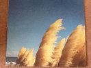 Jimmy Eat World Static Prevails Lp Vinyl 1st Press Inc 7