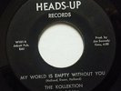 KOLLEKTION usa 45 SAVAGE LOST/MY WORLD IS EMPTY WITHOUT YOU 7