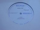 Grunge Rock Vinyl 12