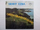 ACID ARCHIVES RARE LP DENNY EZBA GREEN GRASS OF HOME TX FUZZ PSYCH Crazy Cajun