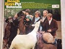 THE BEACH BOYS PET SOUNDS UK MONO RAINBOW LABEL FIRST PRESS T1-2458-1 T2-2458-1
