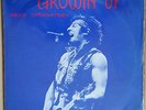 BRUCE SPRINGSTEEN GROWIN' UP 4xLP LIVE MEADOWLAND AUG 20 1984 WHITE LABLE BOOT