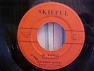 Pictorian Skiffuls - GARAGE - In Awhile & You've Done Me Wrong - Skifful 15587