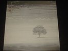 Genesis rare '76 UK 1st press LP Wind & Wuthering on Charisma  mint-  