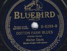 BLUES - WALTER DAVIS 