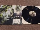 Flea - Helen Burns Signed Vinyl Record Rare w/ Bass String Red Hot Chili Peppers