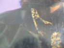 MELLOW SWEET SOUL & SYNTH FUNK LP LAID BACK HIP-HOP SAMPLES MOODY LOOPS LISTEN