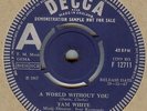 TAM WHITE**SOMEONE YOU SHOULD KNOW*DEMO*UNRELEASED*LISTEN TO IT