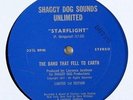 Band That Fell To Earth 