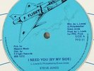 Steve Jones/Fat Boys 