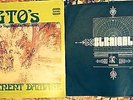 GTOs Vinyl Album LP Zappa project Permanent Damage Signed Pamela Mercy