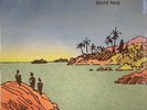 GENERAL STRIKE - Danger In Paradise - LP