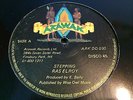 Ras Elroy Stepping Rare Killer Roots 12