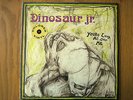 Dinosaur jr. - You're Living All Over Me - 12 