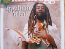 ROOTS / DUB: Peter Broggs - 