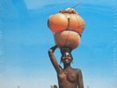 FRANCIS BEBEY African Electronic '75-'82 2x LP NEW VINYL Born Bad Afropop