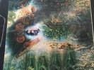 Pink Floyd A Saucerful of Secrets with bonus