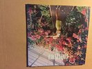 WOLF ALICE - GIANT PEACH  - 7