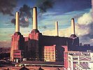 PINK FLOYD animals SHVL 815
