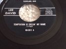 David Lee Temptation Is Callin' My Name Ruby Bargain