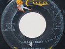 RARE U.P. Michigan Garage FUZZ Blaster 45 – HENCHMEN VI – Is Love Real – CUCA
